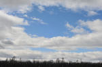 D3S_7995.JPG
