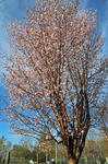 D3S_8303.jpg