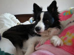 R10401780000.jpg