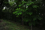 D3S_8607.JPG