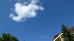 R1041325.JPG