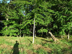 R1041343.JPG