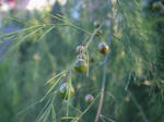 R1041614.JPG