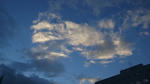 R1041631.JPG