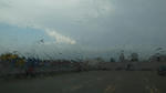 R1041639.JPG