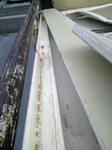 2010102213140002.jpg