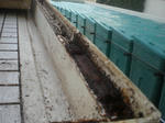 CIMG0222.JPG