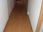CIMG0334.JPG