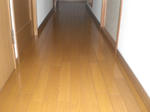 CIMG0358.JPG