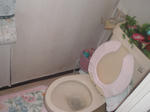 CIMG0301.JPG