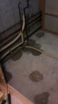 2011021810240000.jpg