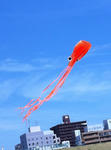 IMG_6835.jpg