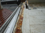 CIMG0883.JPG