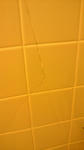2011062910530000.jpg