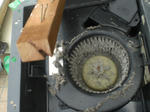 CIMG1174.JPG