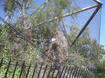 a6a576e7.jpg
