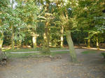 6e02b297.jpg