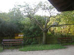 d2b75436.jpg