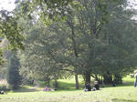 Kenwood4.jpg