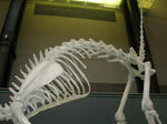 a24b5395.jpg