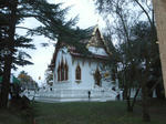 89dbe18a.jpg