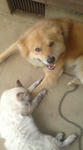 20110703143741.jpg