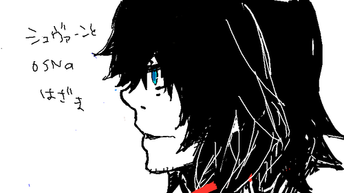 110529.png