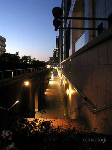 東京都写真美術館