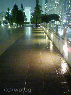 雨