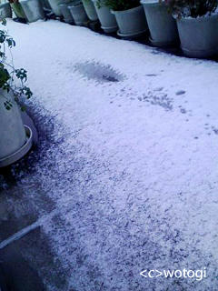 関東の積雪