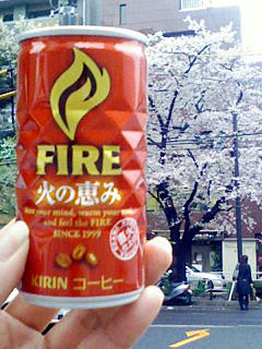 FIRE 火の恵み