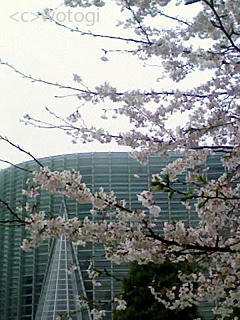 国立新美術館