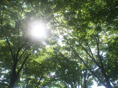 横浜美術館