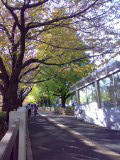 20071123.jpg