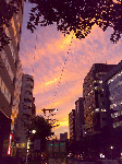 20080801.gif