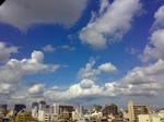 20080919.jpg