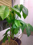 20090106.jpg