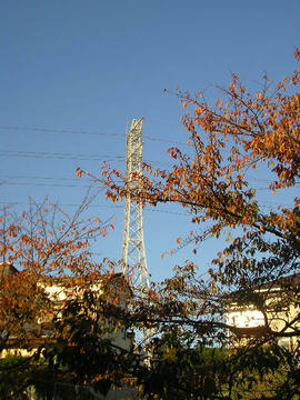 1112k3.JPG