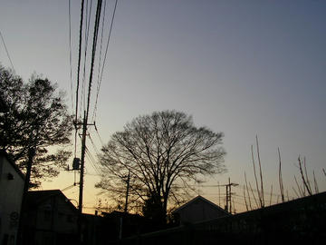 1203k2.JPG