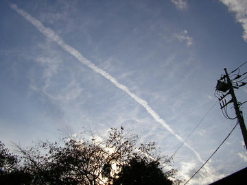 1204h1.JPG