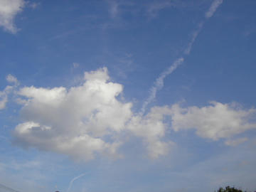 1204h5.JPG