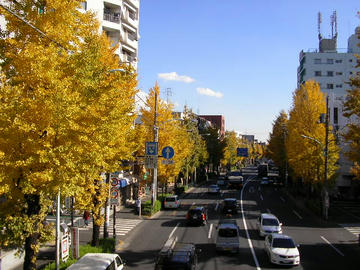 1205o1.JPG