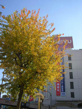 1205o9.JPG