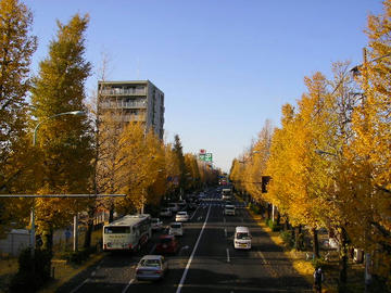 1209o1.JPG