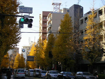 1209o2.JPG