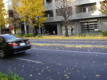 1209o3.JPG