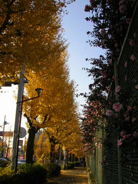 1209o5.JPG