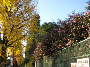 1209o6.JPG