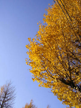 1209m1.JPG