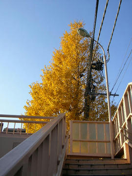 1209m2.JPG